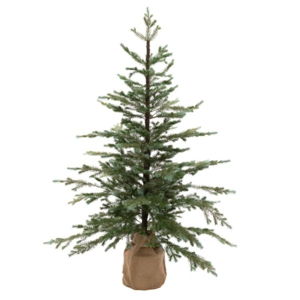 Fresh Pine Tree In Burlap 155cm